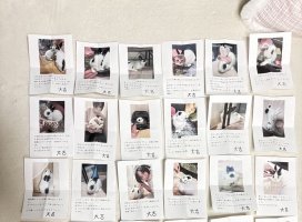 �ƤȤ�+*�����Υĥ�����