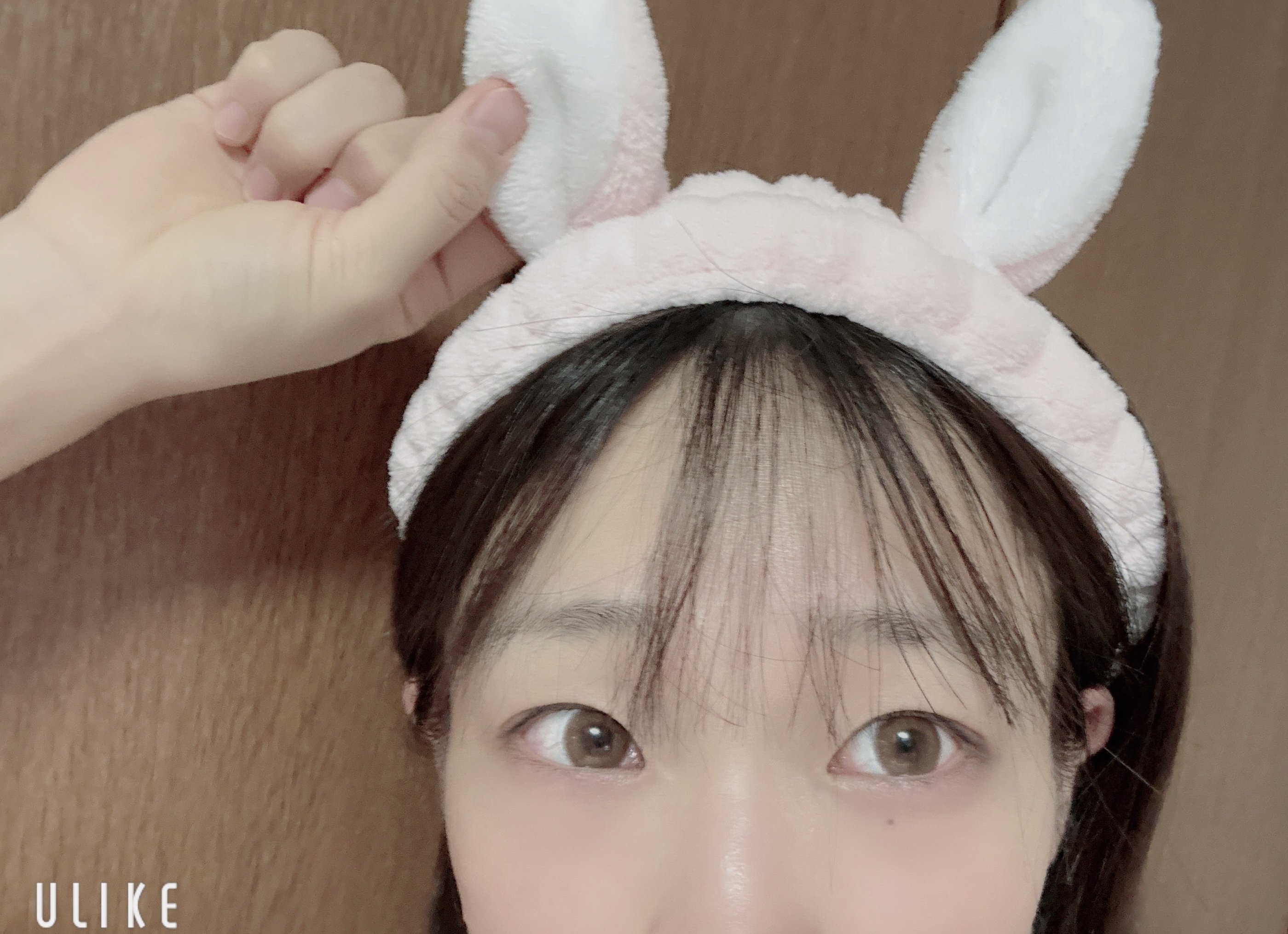 �Ϥ䤻 ���ߤ����Υĥ�����