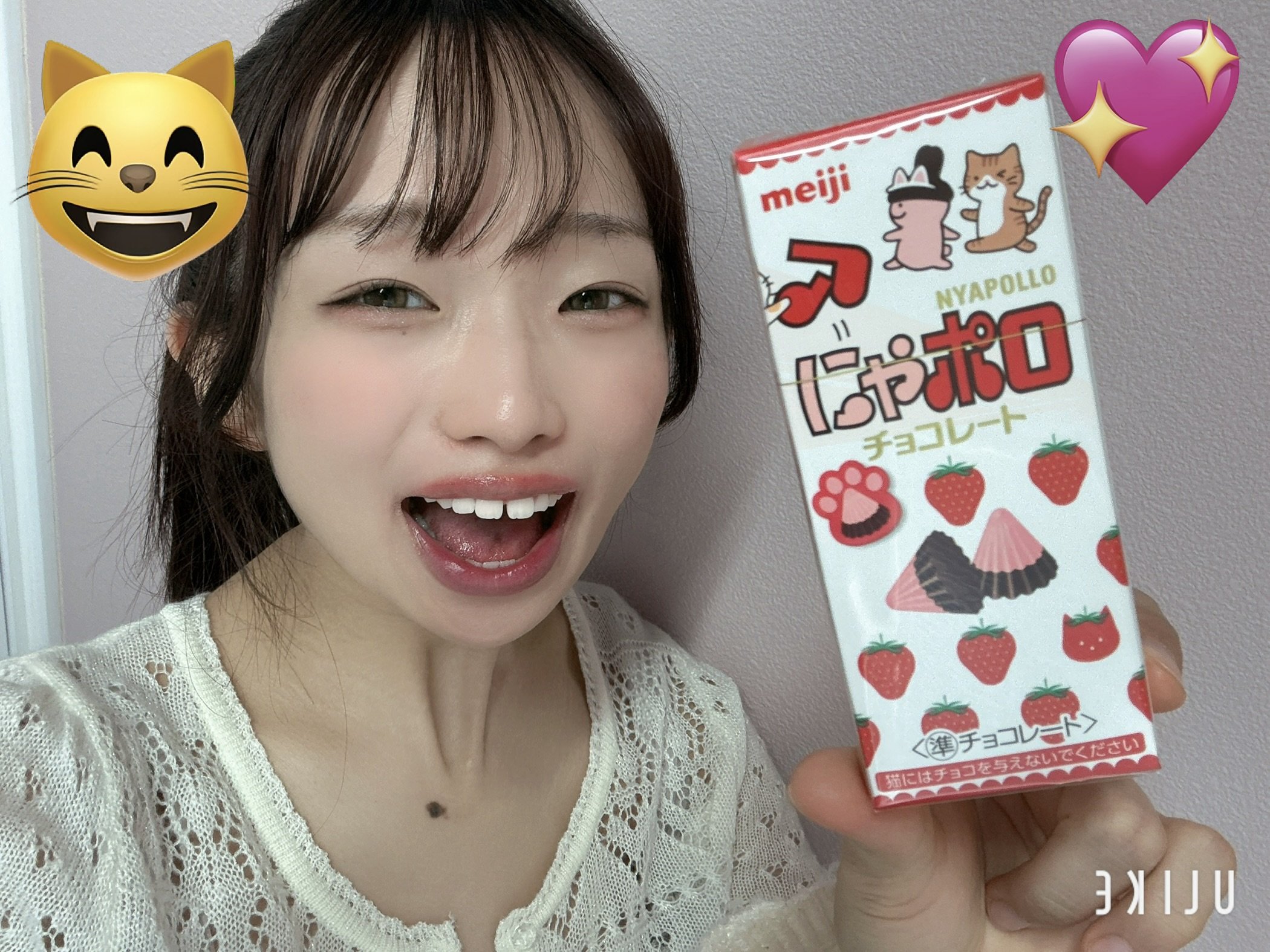 �Ϥ䤻 ���ߤ����Υĥ�����