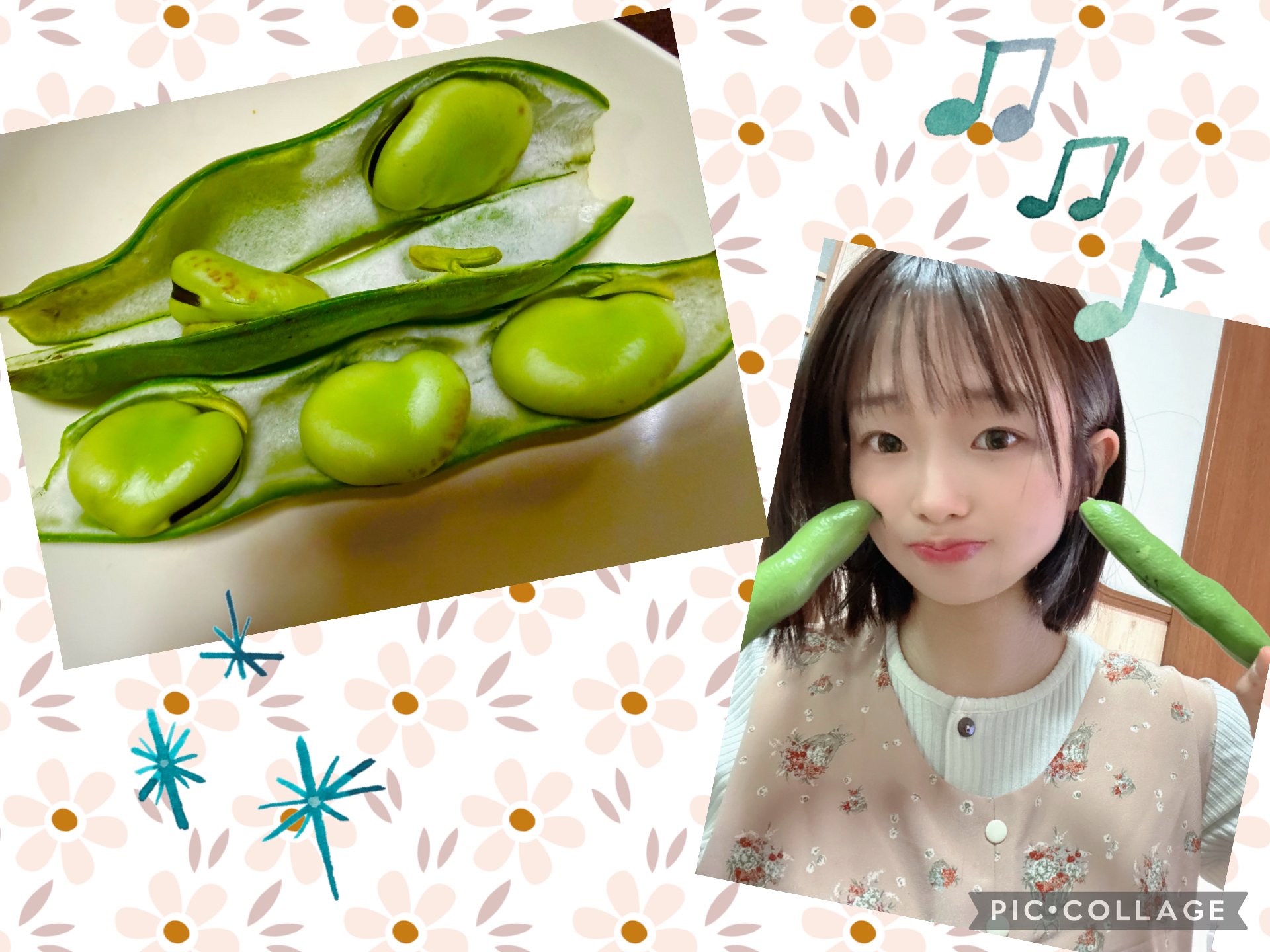 �Ϥ䤻 ���ߤ����Υĥ�����