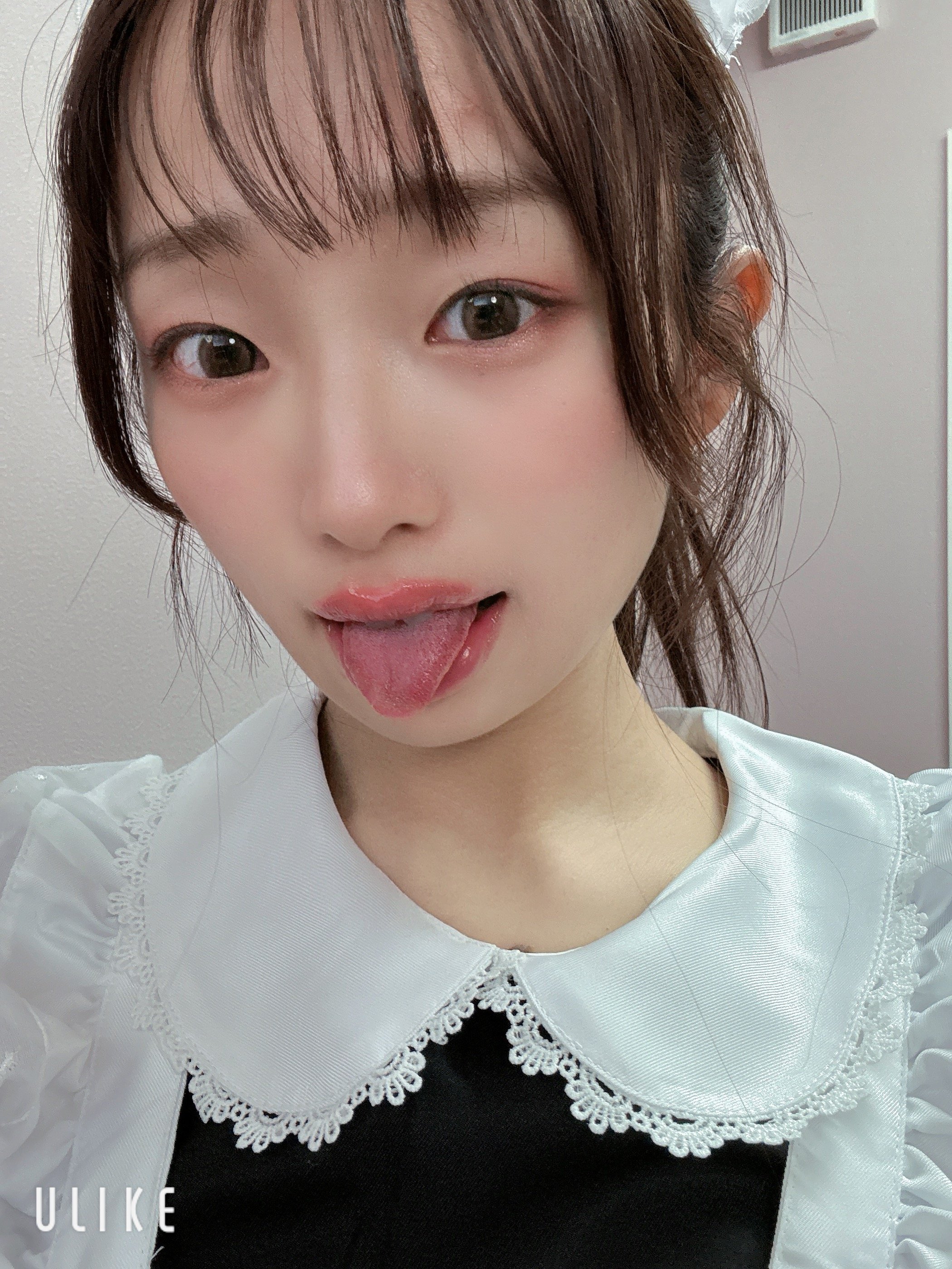 �Ϥ䤻 ���ߤ����Υĥ�����