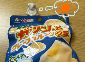 �Ϥ䤻 ���ߤ����Υĥ�����