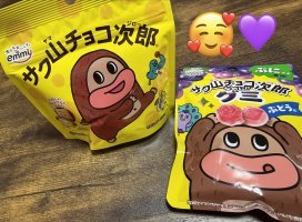 �Ϥ䤻 ���ߤ����Υĥ�����