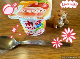 �Ϥ䤻 ���ߤ����Υĥ�����