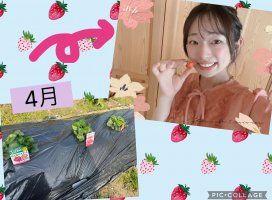 �Ϥ䤻 ���ߤ����Υĥ�����