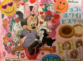 �Ϥ䤻 ���ߤ����Υĥ�����