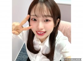 �Ϥ䤻 ���ߤ����Υĥ�����