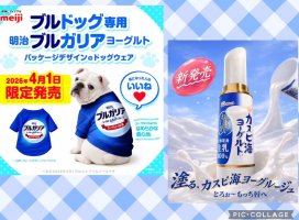 �Ϥ䤻 ���ߤ����Υĥ�����