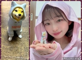 �Ϥ䤻 ���ߤ����Υĥ�����