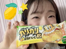 �Ϥ䤻 ���ߤ����Υĥ�����