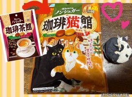 �Ϥ䤻 ���ߤ����Υĥ�����