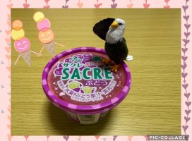 �Ϥ䤻 ���ߤ����Υĥ�����