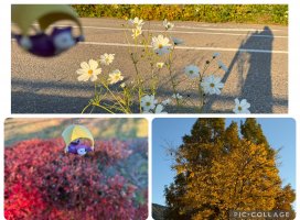 はやせ えみちゃんのツイート