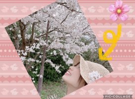 �Ϥ䤻 ���ߤ����Υĥ�����