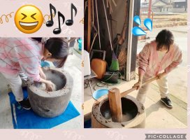 �Ϥ䤻 ���ߤ����Υĥ�����