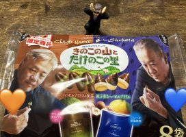 �Ϥ䤻 ���ߤ����Υĥ�����