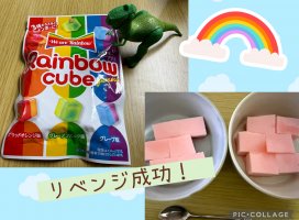 �Ϥ䤻 ���ߤ����Υĥ�����