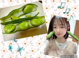 �Ϥ䤻 ���ߤ����Υĥ�����