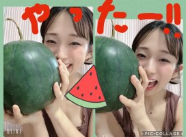 �Ϥ䤻 ���ߤ����Υĥ�����