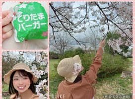 �Ϥ䤻 ���ߤ����Υĥ�����