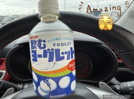 �Ϥ䤻 ���ߤ����Υĥ�����