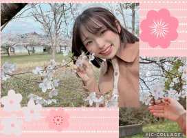 �Ϥ䤻 ���ߤ����Υĥ�����