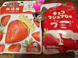 �Ϥ䤻 ���ߤ����Υĥ�����