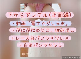 �Ϥ䤻 ���ߤ����Υĥ�����