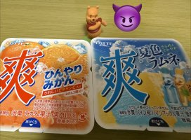 �Ϥ䤻 ���ߤ����Υĥ�����