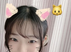 �Ϥ䤻 ���ߤ����Υĥ�����