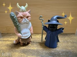 はやせ えみちゃんのツイート