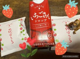 �Ϥ䤻 ���ߤ����Υĥ�����