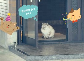 �Ϥ䤻 ���ߤ����Υĥ�����