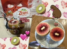 �Ϥ䤻 ���ߤ����Υĥ�����