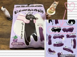 �Ϥ䤻 ���ߤ����Υĥ�����