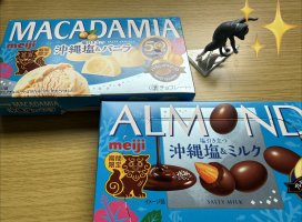 はやせ えみちゃんのツイート