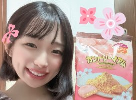 �Ϥ䤻 ���ߤ����Υĥ�����