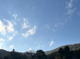 ゆら.。*ちゃんのツイート