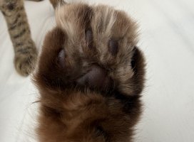 みる^..^ちゃんのツイート