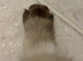 みる^..^ちゃんのツイート