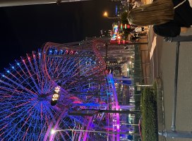 �줤�ʡ�*�������Υĥ�����