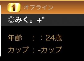 ���ߤ���+*�����Υĥ�����