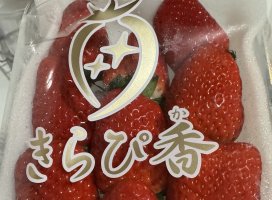 ���ߤ���+*�����Υĥ�����