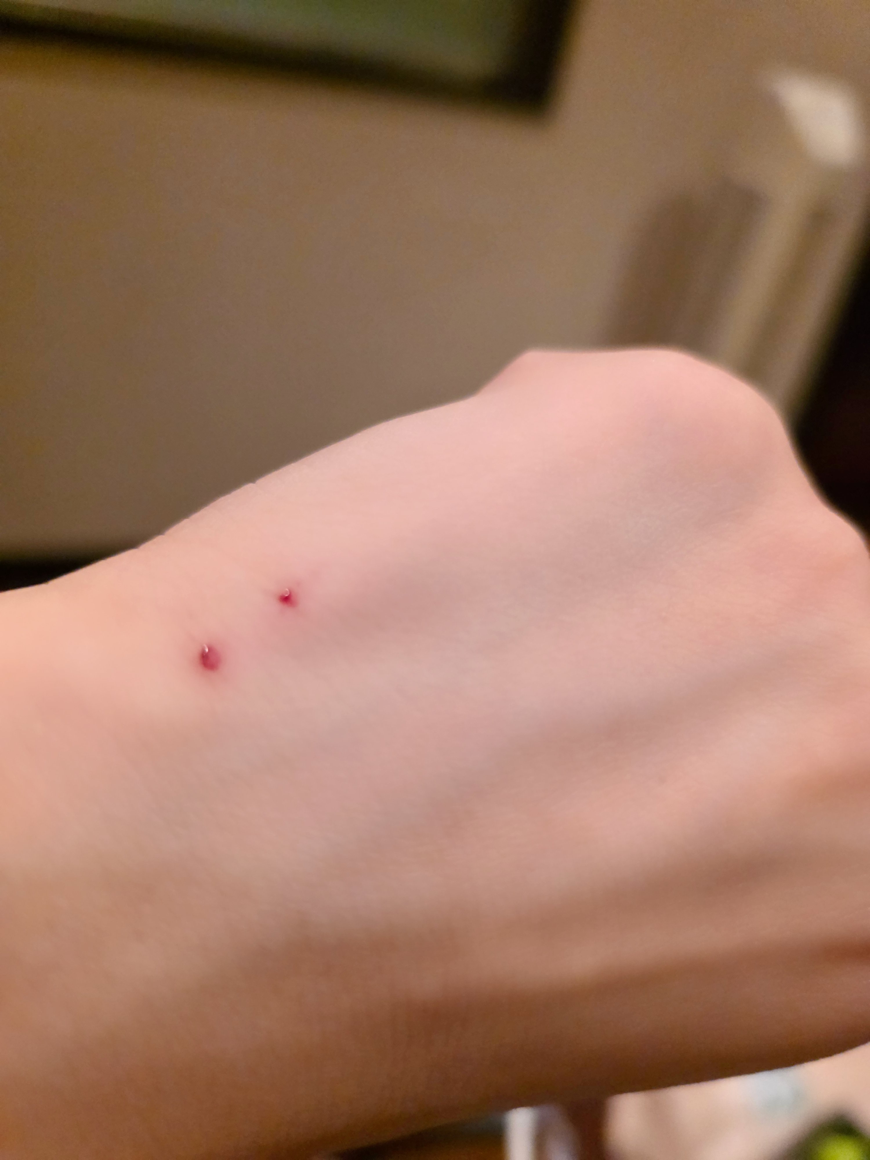 .�ߤĤ�.:�����Υĥ�����