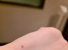 .�ߤĤ�.:�����Υĥ�����