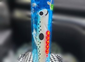 .�ߤĤ�.:�����Υĥ�����