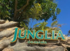 ゆり*。ちゃんのツイート