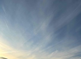 ゆり*。ちゃんのツイート