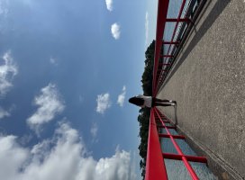 ゆり*。ちゃんのツイート