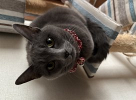 �ޤ������Υĥ�����